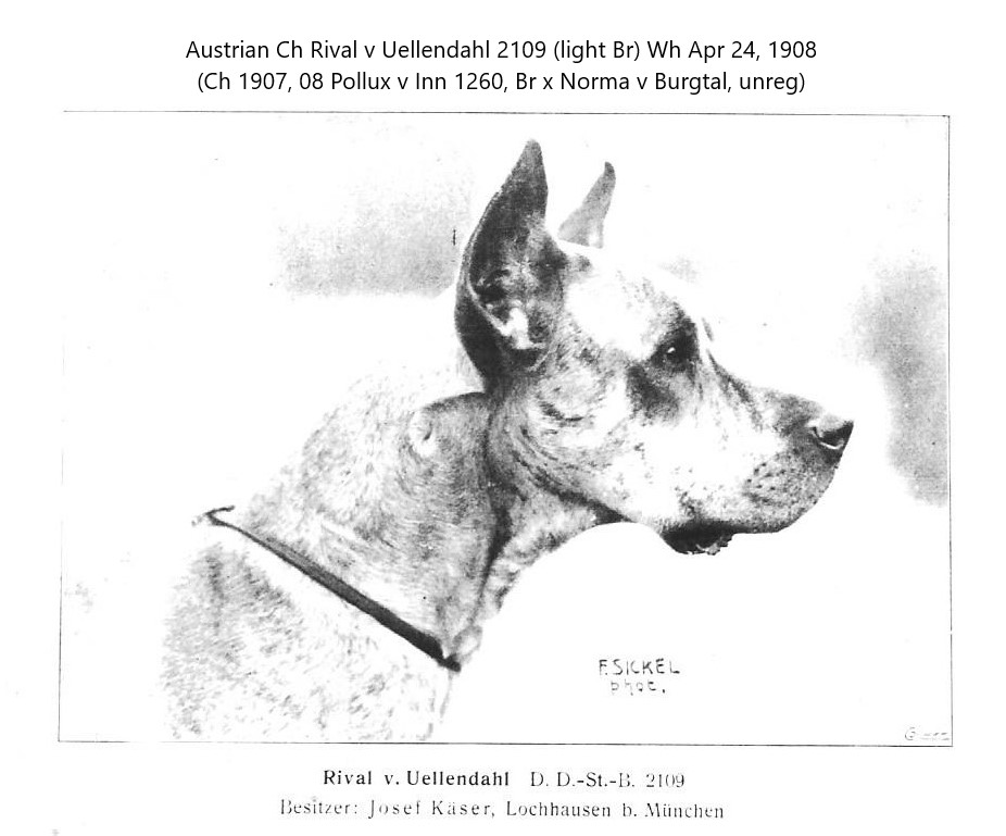 Rival v Uellendahl